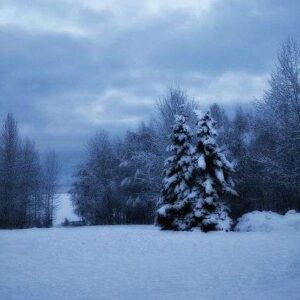 Dec 27th - The 8th Day of Yule day-27-main