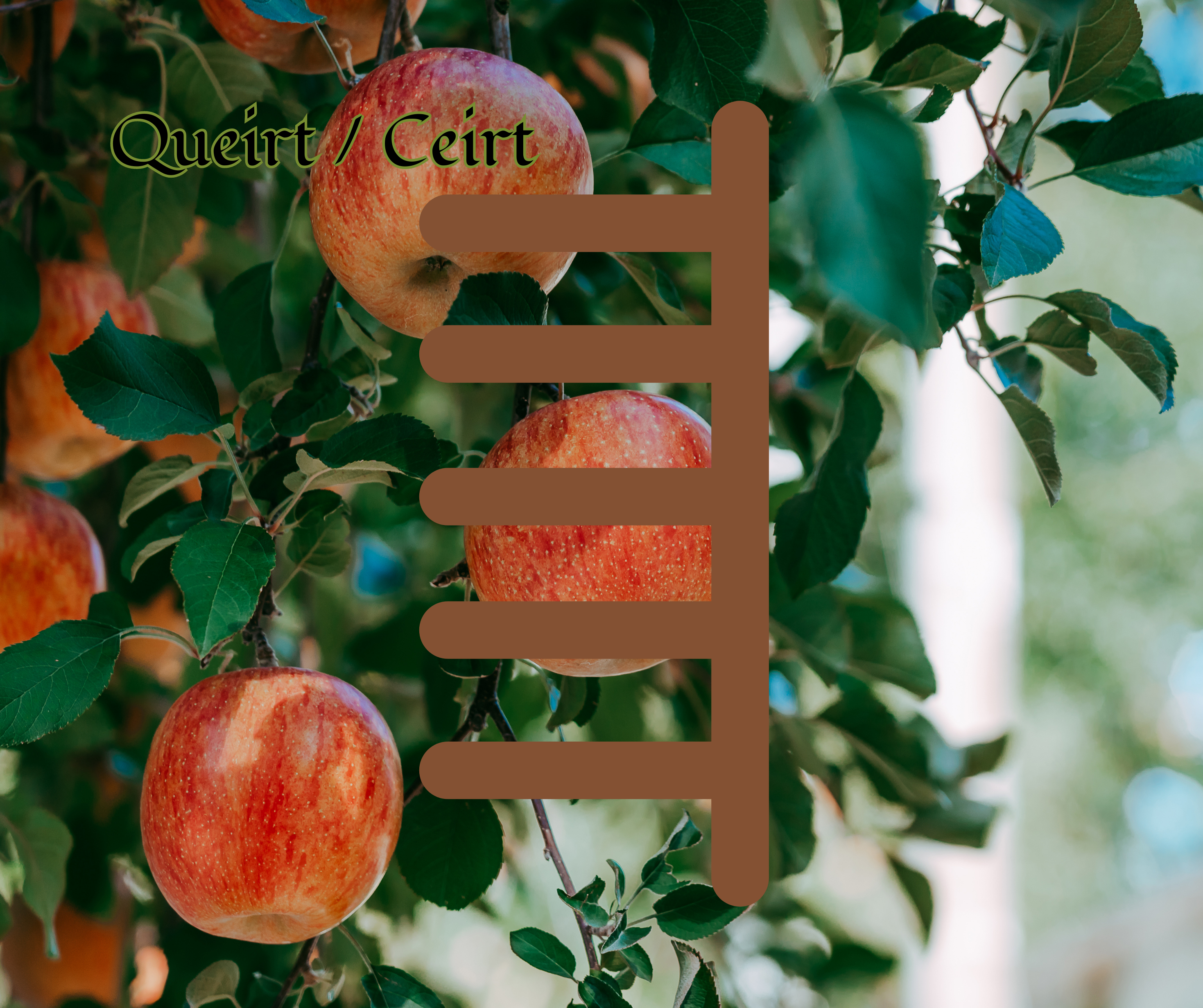 Quert (Apple)