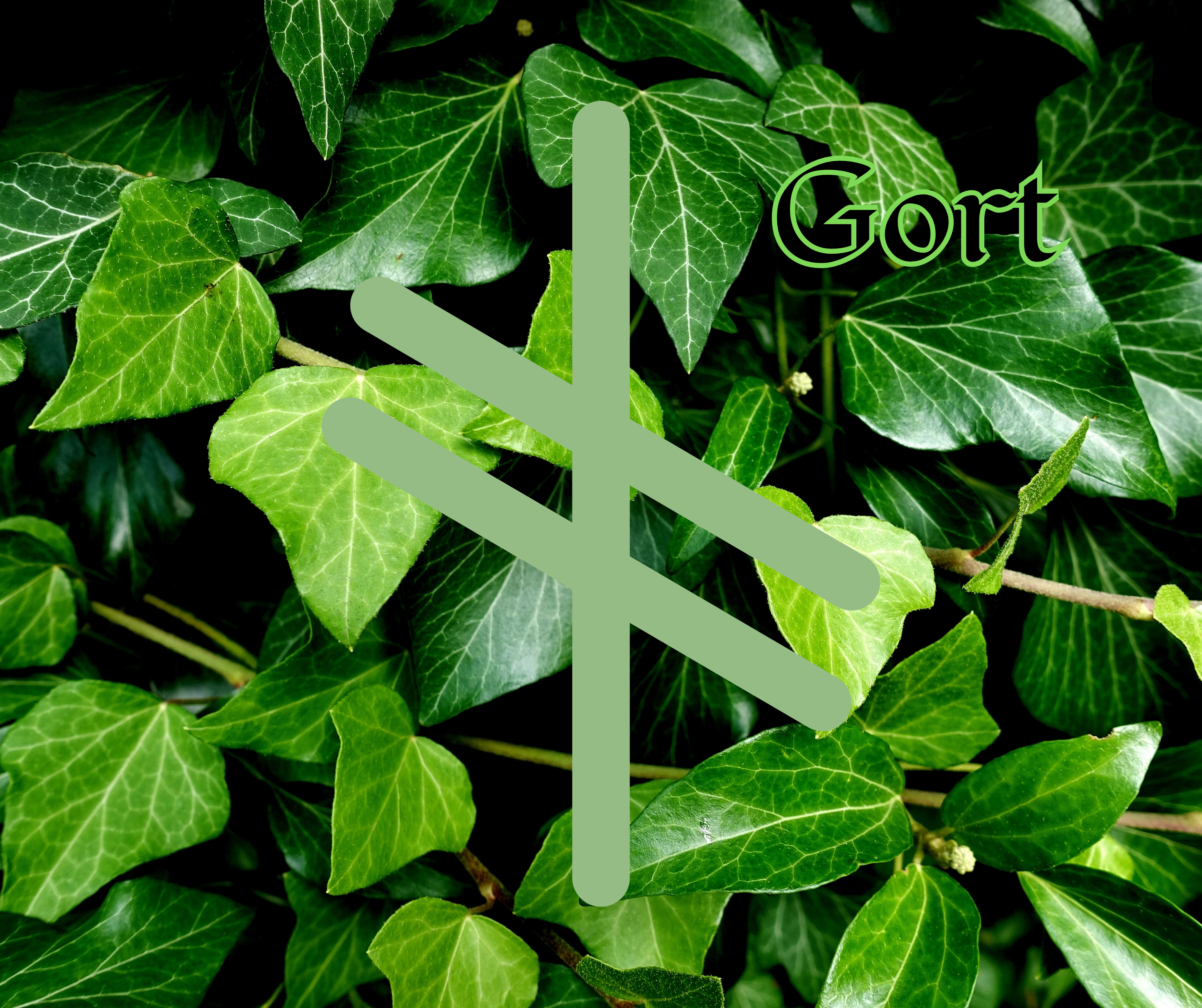 Gort (Ivy)