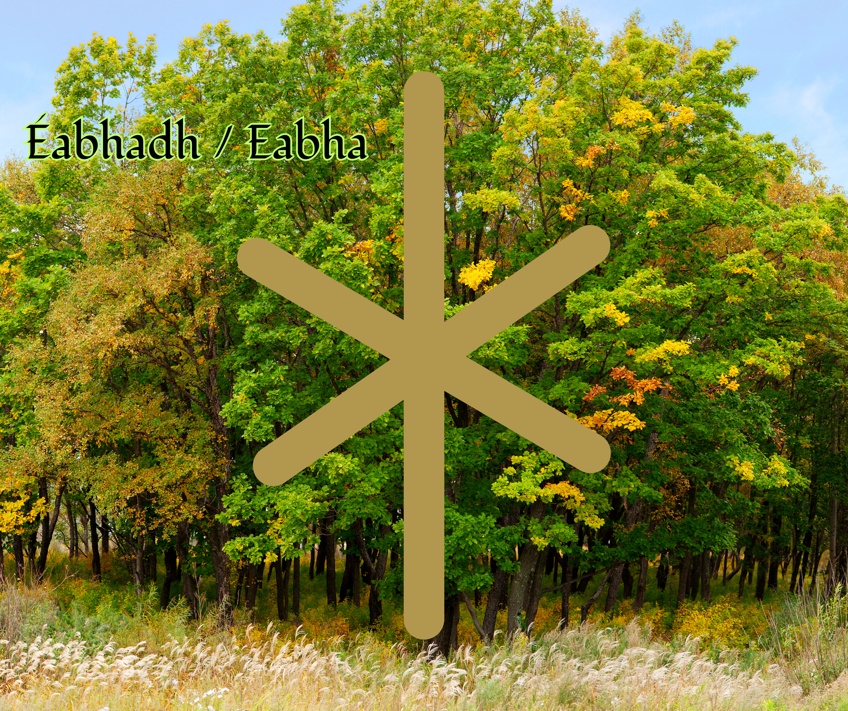 Éabhadh (Aspens in a Grove)
